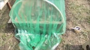 Как можно накрыть пленкой высокую грядку.
