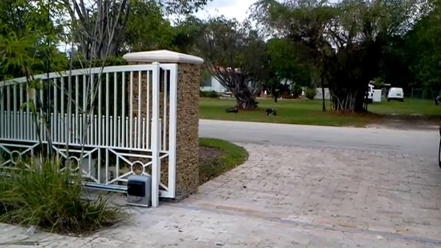 Came-Bk Master-Slave Buypart gate