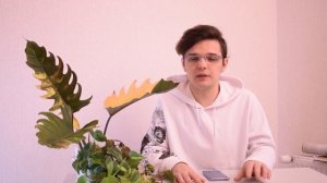 КАК ВЫРАСТИТЬ ДОМА ФИЛОДЕНДРОН???/Грунт//Полив//Свет