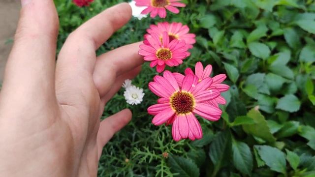 А у нас пополнение)) смотреть онлайн