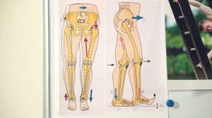 Русская школа ортопедии. Лекция 6. Где зарождается шаг