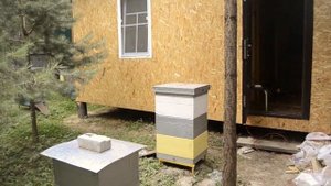 Рабочее помещение на пасеке