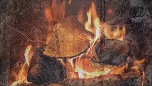 Георгий Свиридов.   МЕТЕЛЬ (романс)