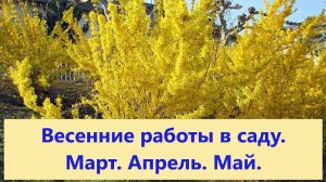 Весенние работы в саду. Март. Апрель. Май.