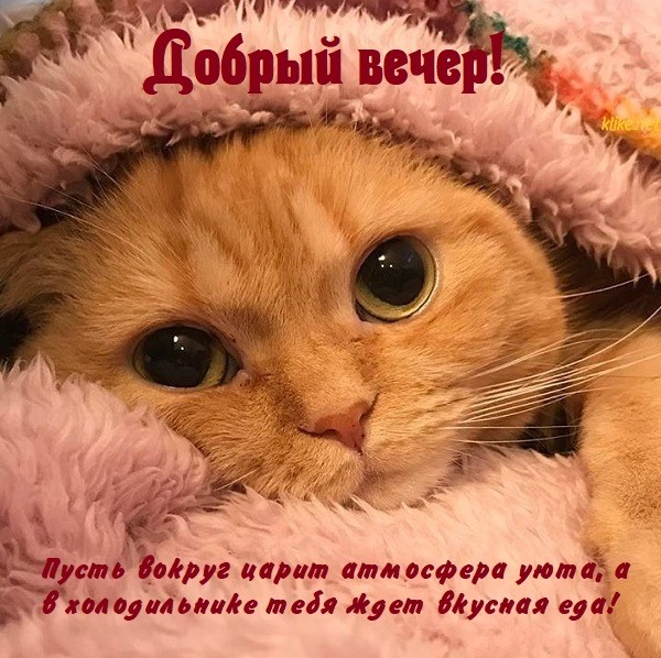 Добрый Вечер! Чудесного Вечернего Настроения!