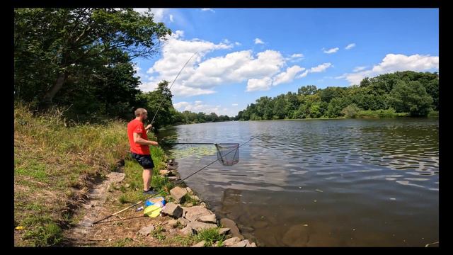ПОЙМАЛ МНОГО РЫБЫ НА ЯМЕ ВОЗЛЕ КУВШИНОК, РАБОЧАЯ СНАСТЬ В ПЕРИОД БЕЗКЛЕВЬЯ И СИЛЬНОЙ ЖАРЫ. смотреть онлайн