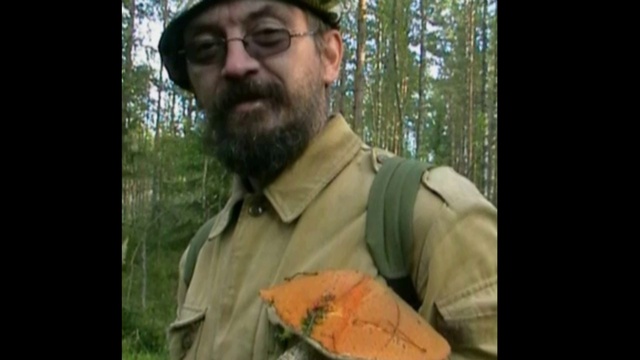 композитор михаил журавлев