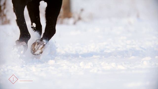 379 Smith Road - Crested Butte Home For Sale смотреть онлайн