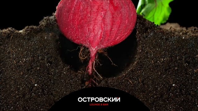 банкетный зал