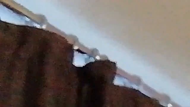 паук Вася на потолке.? смотреть онлайн