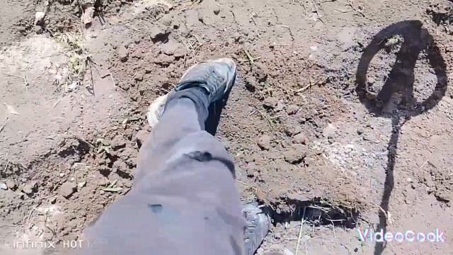 Выезд на старое поле. Коп с X Terra 505 смотреть онлайн