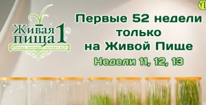 Евгений Агафонов, личный опыт Сыроедения Проект "52 недели", (Видео 7), Недели 11,12,13 (Видео 58)