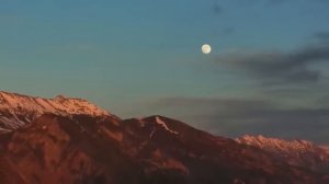 Свекровь в загсе назвала дочку технички нищенкой, все смеялись а потом обомлели…