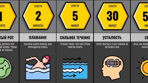 Что, Если Тебя Смыли В Унитаз