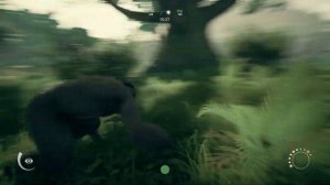 Где найти новых обезьян и как пополнить стаю в Ancestors: the humankind odyssey