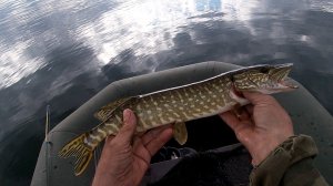 Рыбалка на озере с лодки. Ловля ОКУНЯ на спиннинг в Июле.