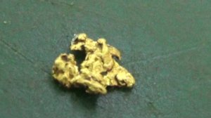 Намыл золото и платину!