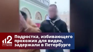 Подростка, избивающего прохожих для видео, задержали в Петербурге