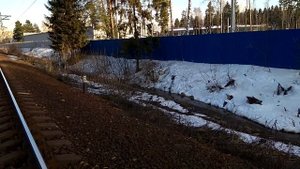 Что вам лучше было бы не знать про Озеро Большое во Фрязино!