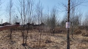 Аэрозольный пистолет "Добрыня" для самообороны. Обзор, характеристики, отзывы и испытание на улице.