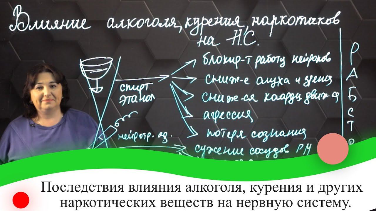 Последствия влияния алкоголя, курения и других наркотических веществ на нервную систему. 7 класс.