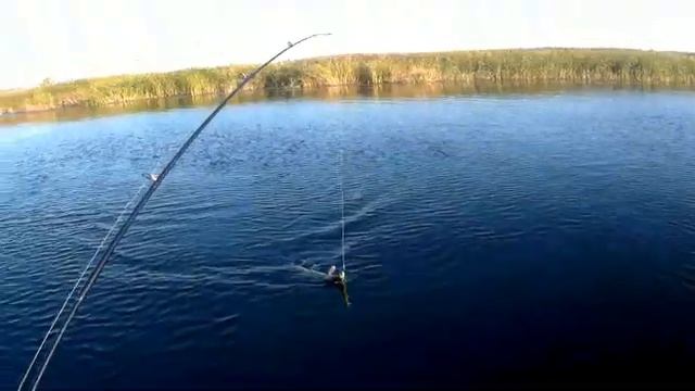 Рыбалка. Конец сентября. Клев щуки в сентябре. смотреть онлайн