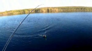 Рыбалка. Конец сентября.  Клев щуки в сентябре.