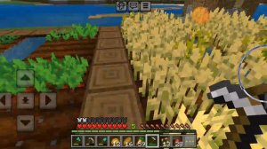 игра в деревне 15.1