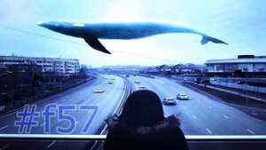 СИНИЙ КИТ. ПОЧЕМУ ВСЕ УМИРАЮТ?