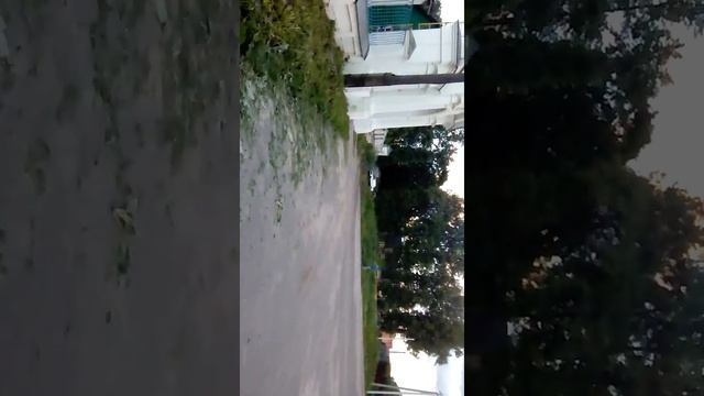 Тазы валят!! с.Стромынь смотреть онлайн