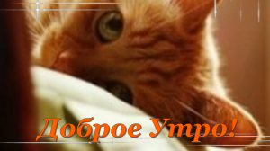 С Добрым Утром! Всем Привет!