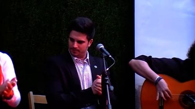 Noches Flamencas 2013 A.V. Bajo Albayzín 14 junio B смотреть онлайн