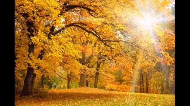 ПЕСНЯ ПРО ОСЕНЬ | ЗОЛОТАЯ ОСЕНЬ смотреть онлайн