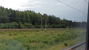 Поездка на скоростном поезде Сапсан Санкт-Петербург - Москва | Вид из окна Сапсана скорость 200 км/