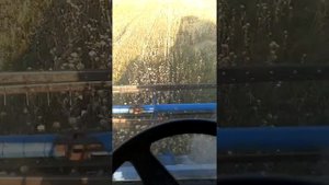 уборка расторопши посеяной по залежи