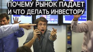 Почему рынок падает и что делать инвестору. Комментарий к мнению аналитиков.