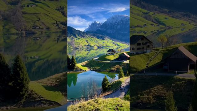 Душевное умиротворение смотреть онлайн