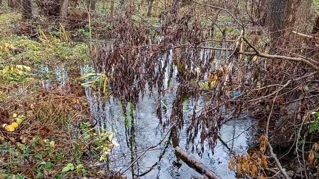 Загадочный ноябрь ???? смотреть онлайн