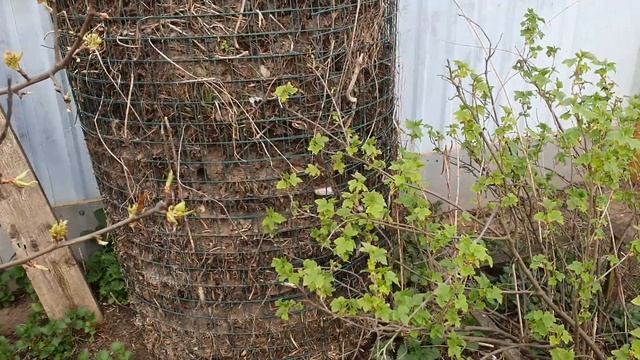 123 Теплые грядки своими руками из цементно-стружечной плиты ( ЦСП) Часть 1. смотреть онлайн