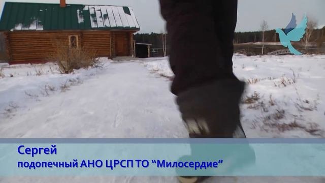 Крестьянское фермерское хозяйство Андреевская слобода