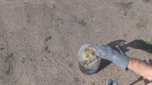 Снимаем хром Хлорным железом