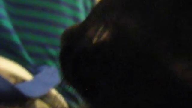 Let's Play Doki Majo Plus (blind) - part 2 - Purple Feather Guy смотреть онлайн