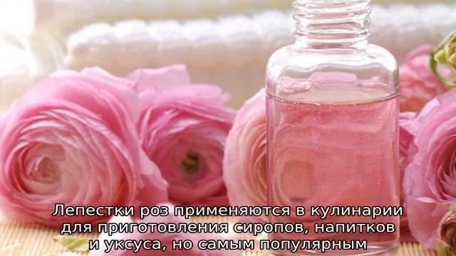 Как сохранить лепестки роз