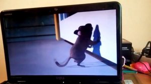 Приколный мультик про мышку