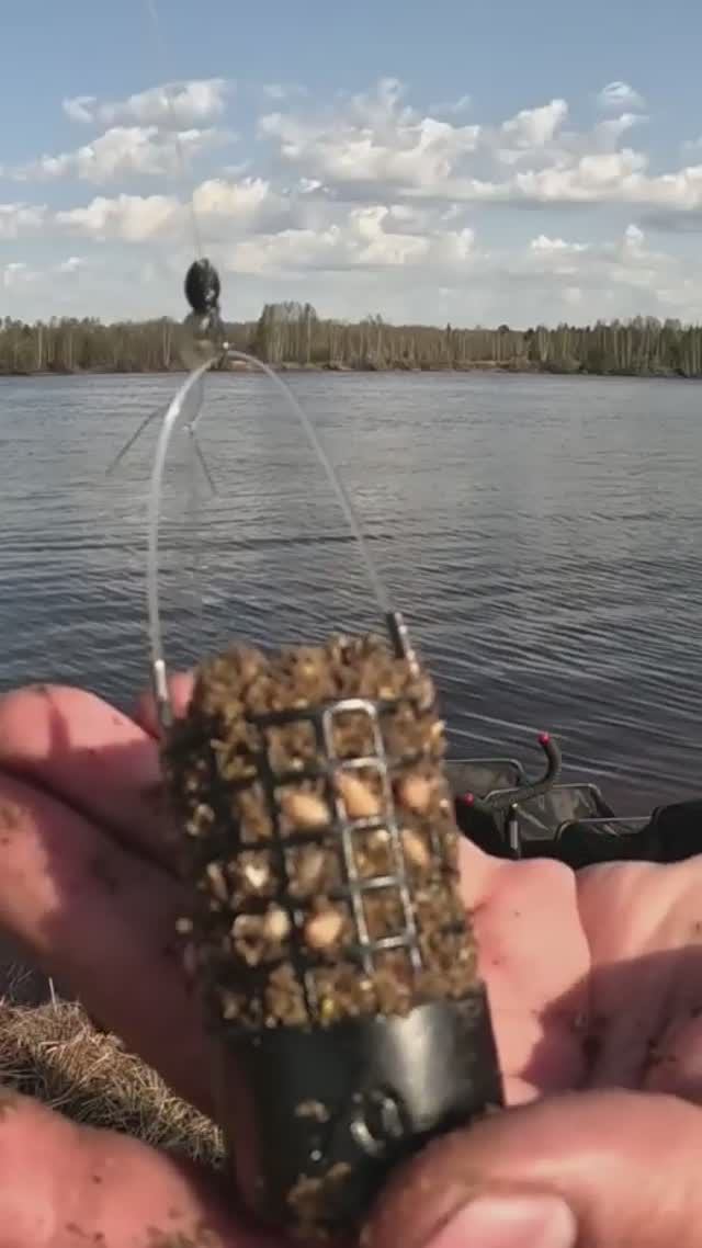 #shorts #shortvideo #fishing #лещнафидер #bream