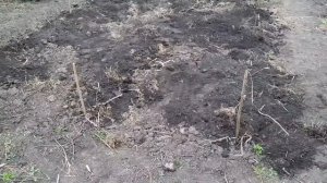Продолжение подготовки земли для посадки арбузов и дынь!
