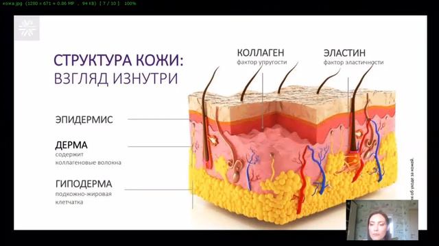 Почему у всех разная кожа?#сухаякожа #жирнаякожа #структуракожи