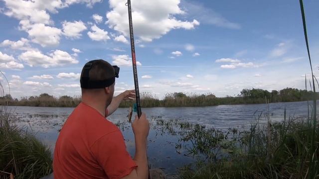 ОЗЕРНЫЙ КАРАСЬ НА БОКОВОЙ КИВОК! РЫБАЛКА НА КАРАСЯ на ОЗЕРЕ!!! смотреть онлайн