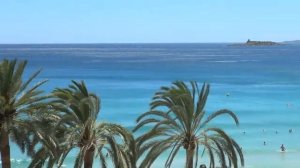 Футаж пальмы пляж море