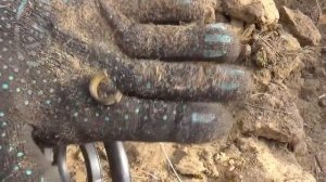 Коп с Fisher F2 (Фишер Ф2), в помощь начинающим кладоискателям, интересные находки и серебро